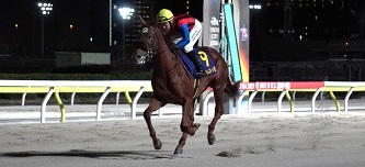 フークアンビション