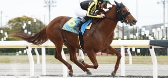 アトレーヴフェイス