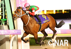 第23回 JBCクラシック(JpnI)の模様