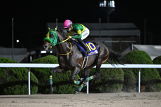 第24回 JBCクラシック(JpnI)の模様