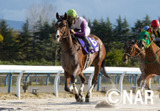 第11回　ＪＢＣレディスクラシック（JpnI）の模様