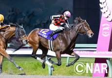 第12回　ＪＢＣレディスクラシック（JpnI）の模様