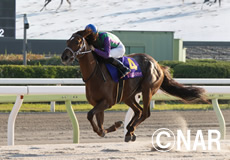 第13回　ＪＢＣレディスクラシック（JpnI）の模様