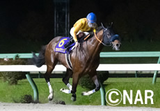 第22回 JBCスプリント(JpnI)の模様