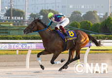 第23回 JBCスプリント(JpnI)の模様