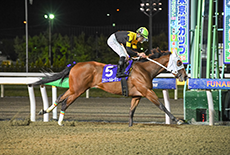 第2回 若潮スプリント(SIII)の模様