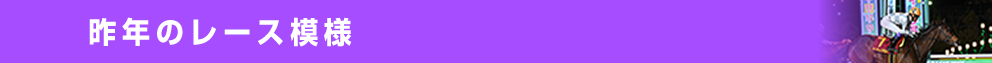 昨年のレース模様