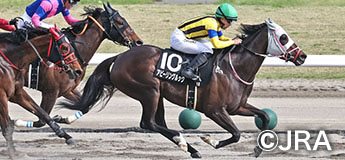 アピーリングルック