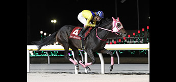 ウィルシャイン