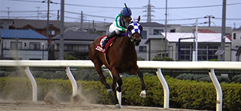 エスカティア