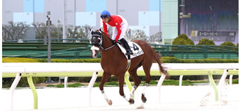 ベイビーザロック